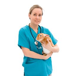 veterinary-small-animals.jpg